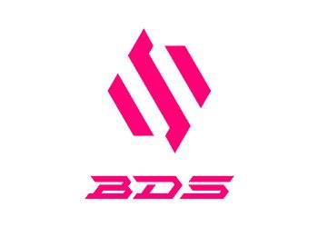 TeamBDS